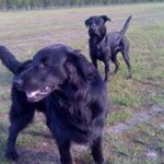 Erik Wehrmann - Instagram Profile Picture of Erik Wehrmann (@eriweh) on Instagram