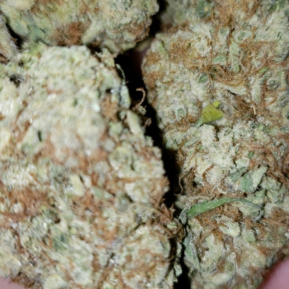 Profile Picture of John Townsend (@jdawg606) on Poshmark