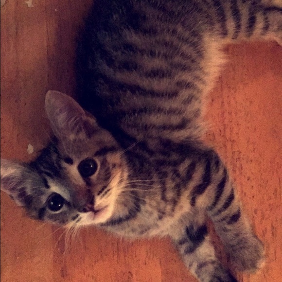 Anelle Bolanos - Poshmark Profile Picture of Anelle Bolanos (@anellecavazos97) on Poshmark