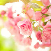 Profile Picture of Kimberly Hansen (@kimberlyhansen6378) on Youtube