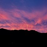 Profile Picture of Brad Allen Cleary (@bradallencleary) on Instagram