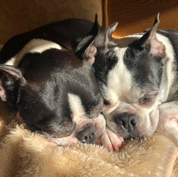 Profile Picture of Victorian Ginger (@dkassel1970) on Poshmark