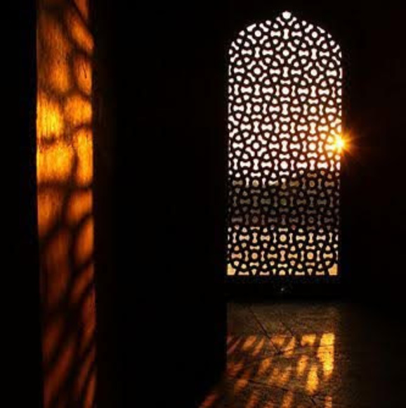 Profile Picture of Alifiya Fidvi (@fidvilayla) on Poshmark