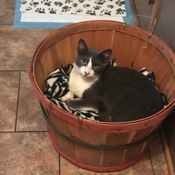 Profile Picture of Christy Culwell (@cculwell70) on Poshmark