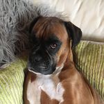 Profile Picture of Dawn Marks (@dawnamanda6) on Instagram