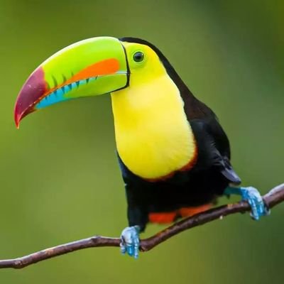 Profile Picture of Robert Macharia (@macharobertm) on Twitter