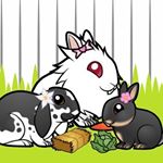 Profile Picture of 🐰 Suki, Roux, Tahlula & Wolf (@thefloridabuns) on Instagram