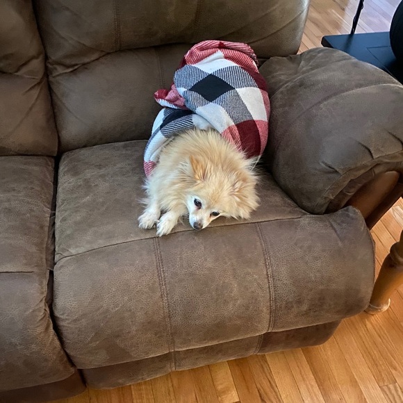 Profile Picture of Phoebe Hughes (@phoebe_hughes) on Poshmark