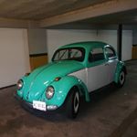 Profile Picture of Jose Uzcategui😎🏁 (@wolschevi) on Instagram