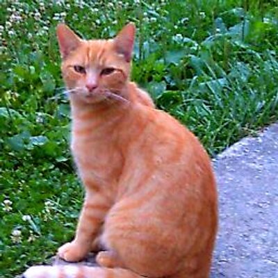 Profile Picture of Megs  Gates (@MeganGates20) on Twitter