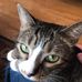 Profile Picture of Jason Wescott (@jason.wescott.14) on Facebook