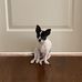 Profile Picture of Joy Shwartz (@joy.shwartz.52) on Facebook