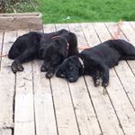 Profile Picture of Buddy Edwards (@buddy.edwards) on Instagram