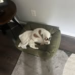 Profile Picture of Bryn Dustin (@bryn.dustin.2025) on Facebook