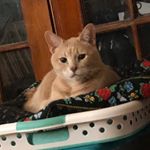 Profile Picture of Wade Gallagher (@wade_gallagher) on Instagram