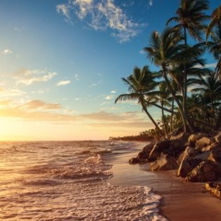 Profile Picture of Nico Reibnitz (@nico.reibnitz.18) on Facebook