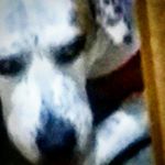 Profile Picture of Gavin Spencer (@gavinacespencer) on Instagram