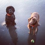 Profile Picture of AllisonAshlock (@allisonashlock) on Instagram