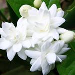 Profile Picture of 김한빈 (@khb131.loyal) on Instagram