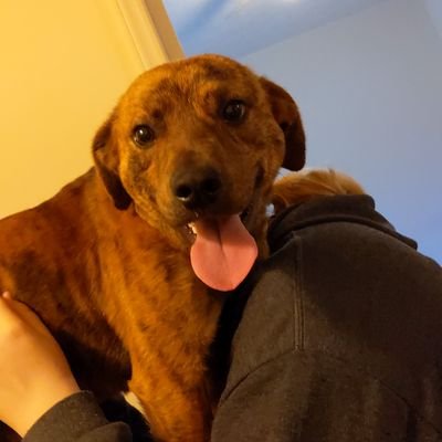 Profile Picture of Lucas Morrill II  🧢 (@LukeMorrill2nd) on Twitter