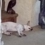 Profile Picture of Janet Kay Wooley (@jkwooley53) on Instagram