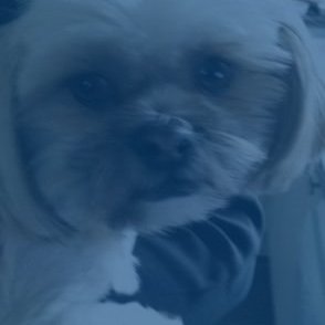 Profile Picture of Martin Jacques (@jacquesmartin46) on Twitter