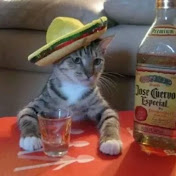 Anke Schulz - Youtube Profile Picture of Anke Schulz (@ankeschulz5810) on Youtube