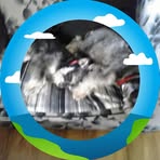 Profile Picture of Clarissa Jayne Rose mcclean (@clarissa.mcclean.2024) on Facebook