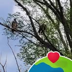 Profile Picture of Jill Thornberry (@Jill-Thornberry) on Facebook