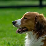 Profile Picture of James Merry (@James-Merry) on Facebook