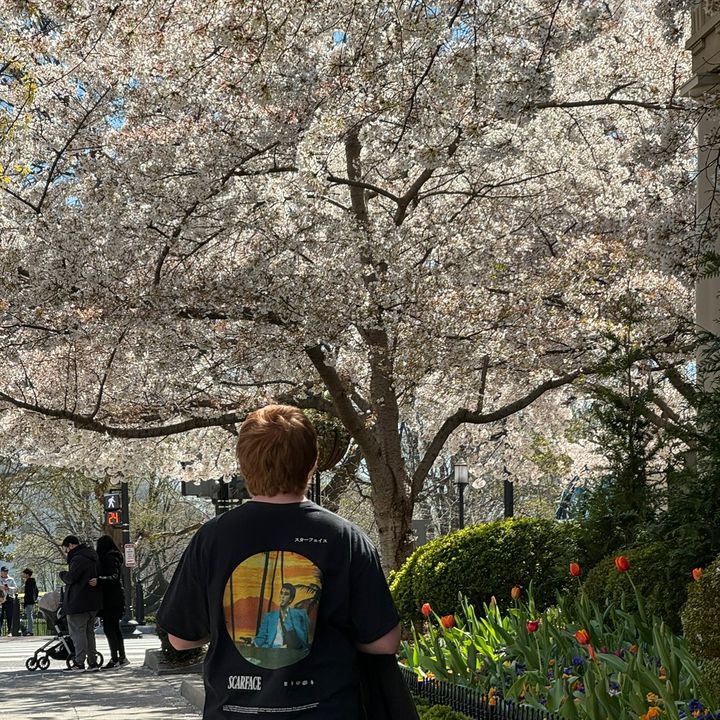 Profile Picture of Jacob (@jacob.rimmer) on Tiktok