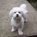 Profile Picture of Hubert David (@Hubert.David210) on Facebook