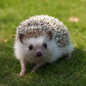 Profile Picture of Nathaniel Cline (@nathanielcline2123) on Youtube