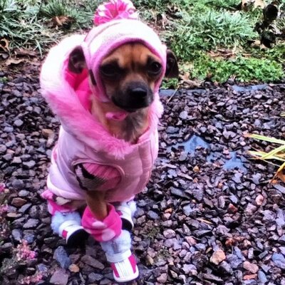 Profile Picture of Michaela Manning (@Michaaaa97) on Twitter