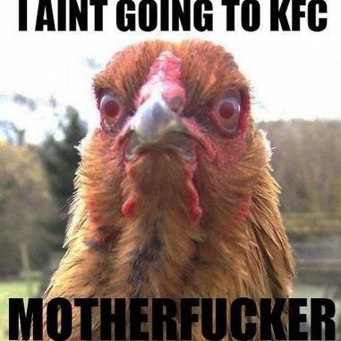 Profile Picture of Joel Hauser (@hauser_joel) on Twitter