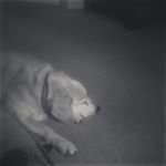 Profile Picture of karl 🙅🙅 (@karlkirby712) on Instagram