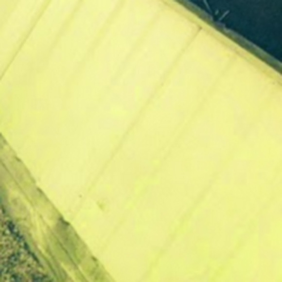 Profile Picture of Passion Stoneking (@passionbreanna) on Poshmark