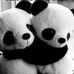 Profile Picture of Javier Chapa Tume (@javier.chapatume.7) on Facebook