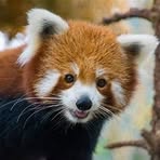 Profile Picture of Matuszewski Jonasz (@Matuszewski-Jonasz) on Facebook