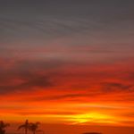 Profile Picture of Tracys Clothes 4 Sale (@tracysclothes_) on Instagram