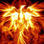 Profile Picture of David Boyer (@david.boyer.581525) on Instagram