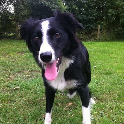 Marc Wingate-Wynne - Twitter Profile Picture of Marc Wingate-Wynne (@razman64) on Twitter