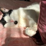 Profile Picture of JERRI randa (@jersri_randa) on Instagram