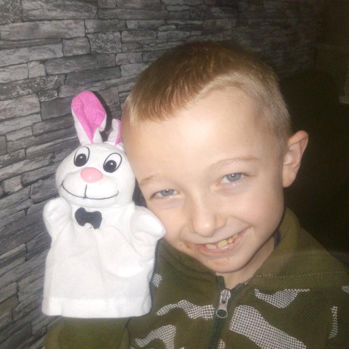 Profile Picture of Aaron et le lapin (@aaronbarbeau5) on Tiktok