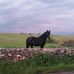 Profile Picture of José Loren Vaquero Sanchez (@joseloren.joselorenzovaquero) on Facebook