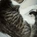 Profile Picture of Patrick Conery (@Conery77777) on Pinterest