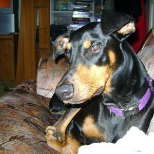 Profile Picture of Andrew Gilbreath (@agilbreath) on Myspace