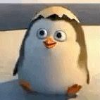 Profile Picture of Mathias Colunga (@mathias_071411) on Tiktok