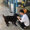 Profile Picture of Keith Ma (@@30269058769) on Tiktok