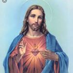 Profile Picture of Troy (@brodie_miles__) on Instagram